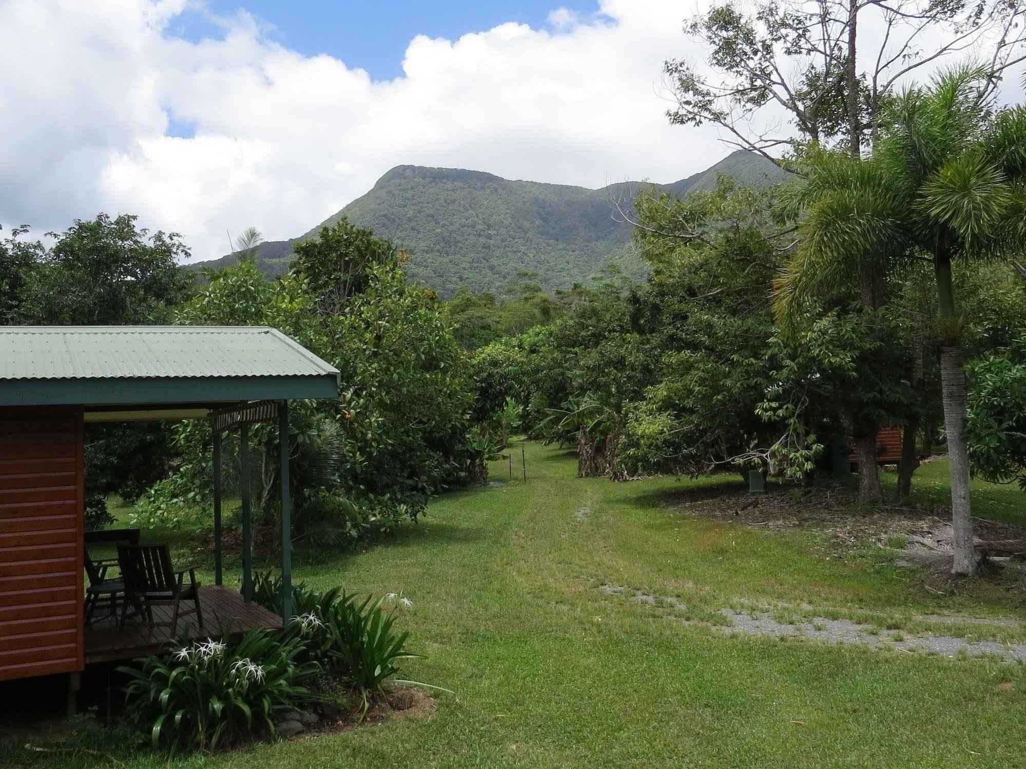 Bed and Breakfast Cape Trib Farm Cape Tribulation Esterno foto